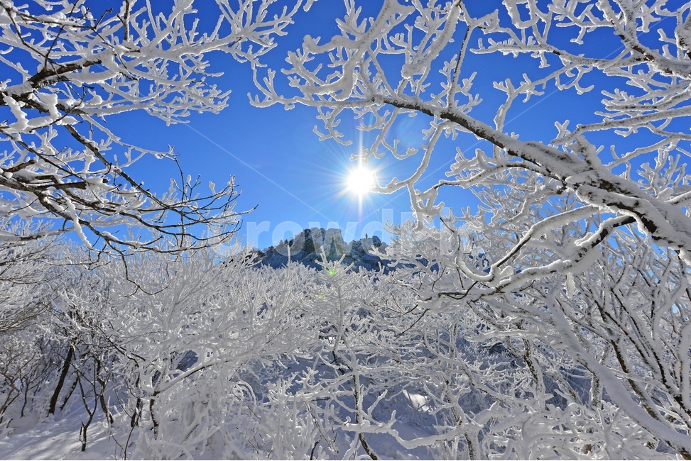 mountain,산,nature,자연,outdoors,옥외,landscape,경치,scenery,풍경,mountainrange,산맥,snow,눈,덕유산,설천봉,향적봉,중봉,상고대,덕유산설경,겨울,계절,설경,겨울,계절,winter,season,자연,풍경,nature,landscape,한국자연풍경,한국자연경관,korea nature landscape