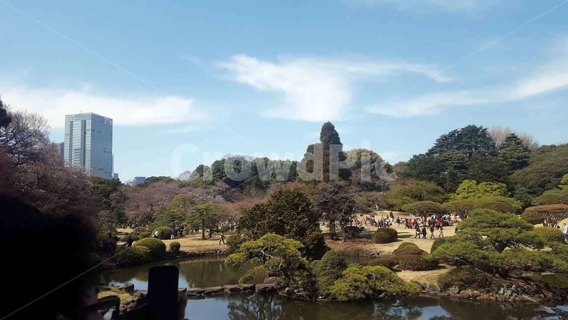 nature,outdoors,옥외,자연,풍경
