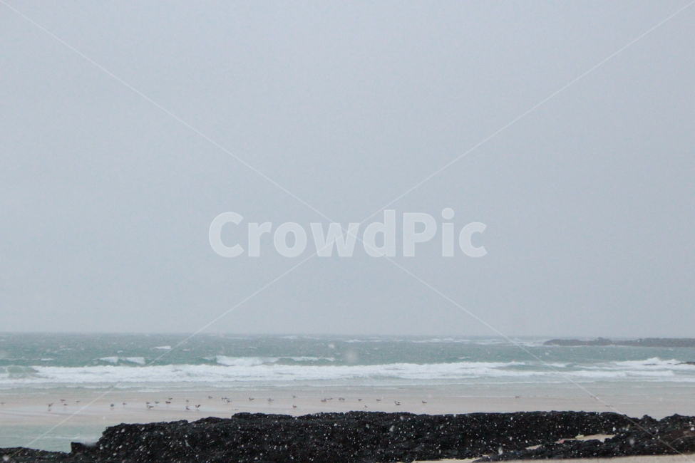 겨울,겨울바다,눈,바다,제주도,풍경,춥다,파도,새,겨울제주,갈매기,winter,wintersea,snow,cold,매섭다,겨울날씨,사진촬영,자연,풍경,nature,landscape,해변,바다,beach,sea,architecture,건축물,building,건물,tower,탑