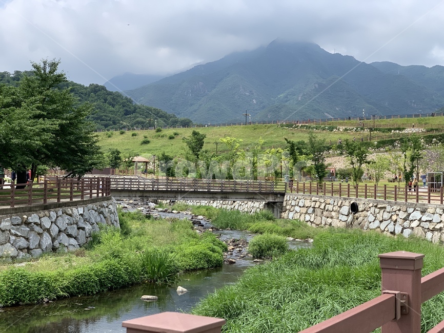 자연,산책로,구미,금오산,구미금오산,여름,날씨,하늘,풍경,산책