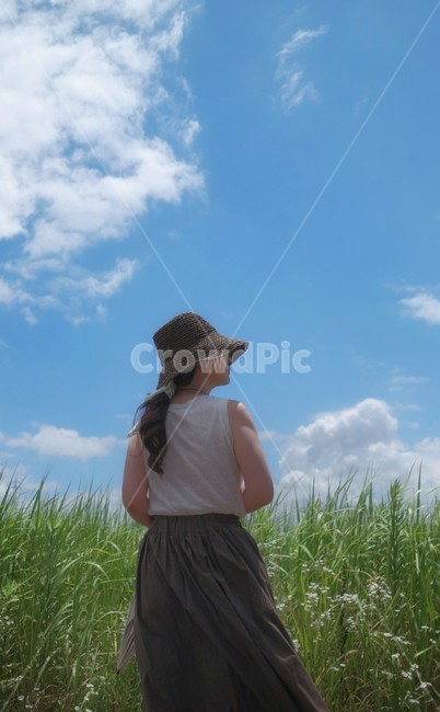 소녀,모델,청순,풀밭,구름,모자,헤어스타일,사람,인물,인간,human,person,여성,여자,woman,female,lady