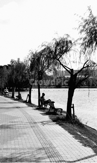 공원,고독함,쓸쓸함,흑백사진,남자,벤치,park,lonely,alone,man,blackandwhitephoto,lake,사람,인물,인간,human,person,고독함,외로움,쓸쓸함,우울함,슬픔,lonely,solitary,흑백,모노톤,monochrome,black and white