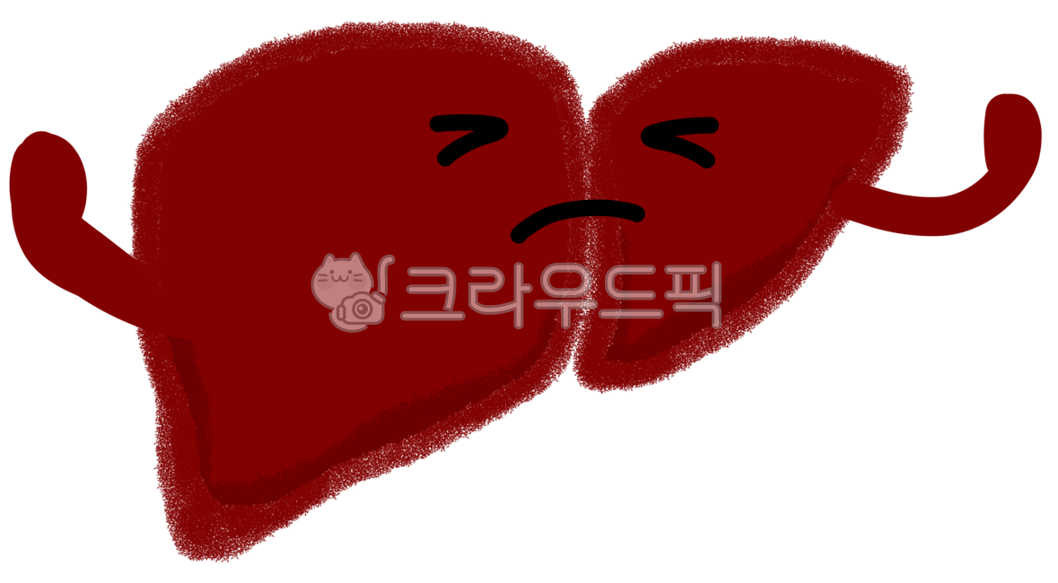 간,간손그림,간모형,간모양,간장기,인체간,내장간,빨간간,해부,간소화기관,간해부,간그림,간디자인,해부학,간캐릭터,간손상