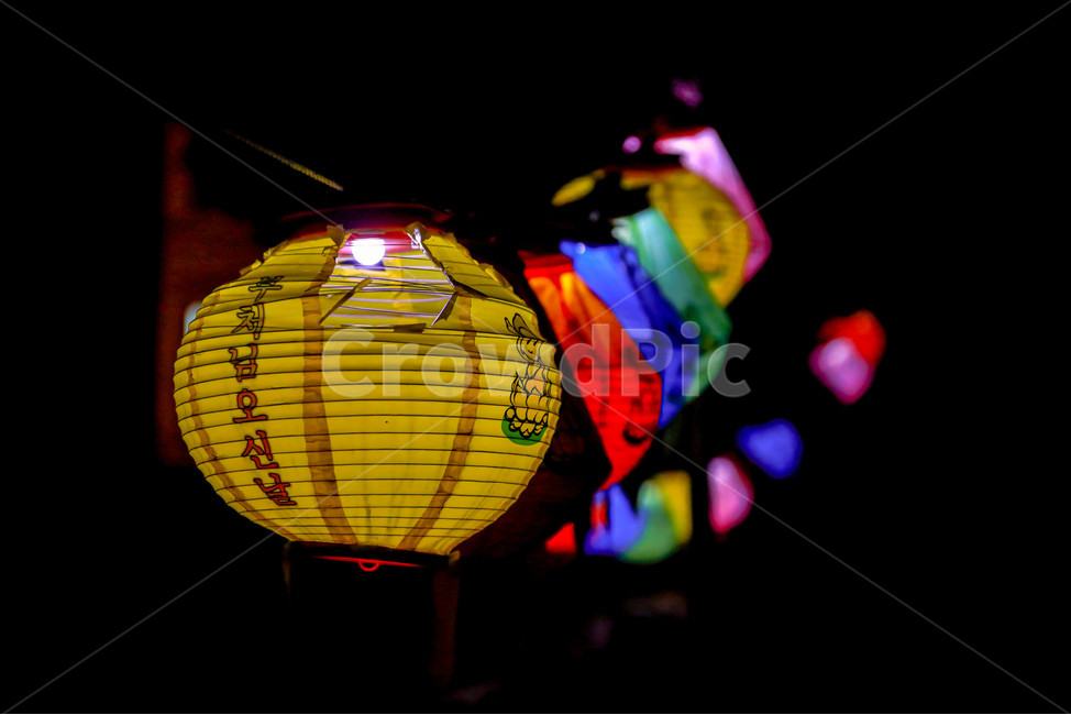 연등,전등,절,부처님오신날,불빛,부처님,temple,light,야경