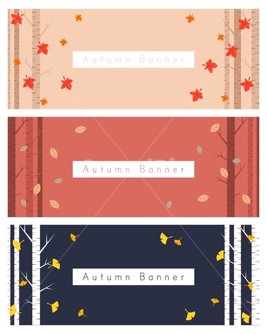 단풍잎,낙엽,은행잎,나무,배너,가을,이벤트,가을,계절,fall,autumn,season,축제,행사,festival,carnival,event,그래픽,일러스트레이션,graphic,illustration