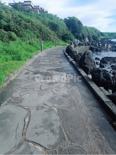 제주도,길,자연,nature,path,jejudo,현무암