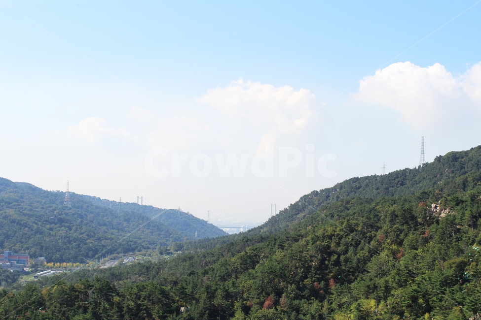 나무,식물,자연,하늘,tree,plant,nature,sky,자연,풍경,nature,landscape