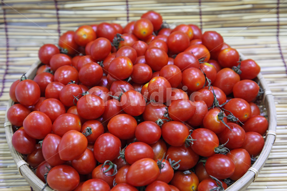 방울토마토,토마토,방울,과일,신선한,빨강,빨간,빨간색,빨강색,붉은,레드,농산물,농작물,오브젝트,식재료,음식,음식재료,재료,식품,패턴,건강,건강식,웰빙,음식,식재료,요리,food,cook,meal,dishes,food reserves,과일,열매,fruit