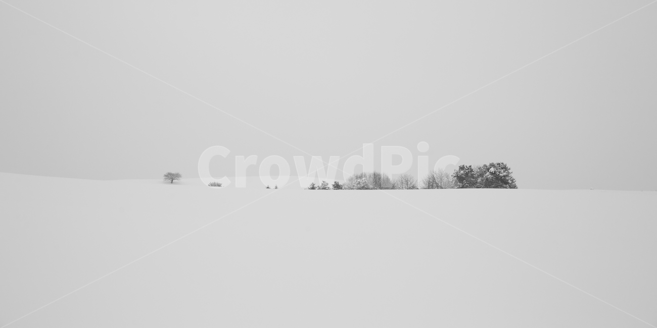 설경,비에이,겨울,눈,snow,겨울,계절,winter,season,자연,풍경,nature,landscape,해외,외국,세계,foreign,oversea,world,세계자연풍경,해외자연풍경,외국자연풍경,world nature landscape,storm,폭풍,outdoors,옥외,blizzard,눈보라