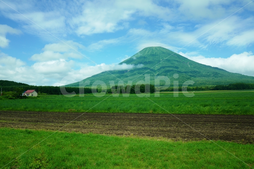 산,하늘,집,초원,시골풍경,북해도,자연,풍경,nature,landscape,시골,마을,country,rural,town,해외,외국,세계,foreign,oversea,world,세계자연풍경,해외자연풍경,외국자연풍경,world nature landscape,outdoors,옥외,hill,언덕