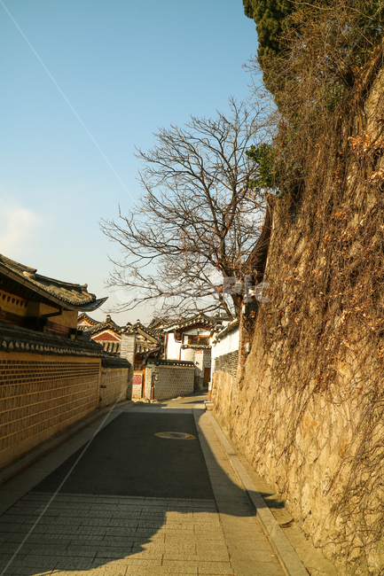 길,골목길,한옥,풍경,한국,대한민국,건축,건물,주택,집,한국전통,한옥마을,벽,돌담,나무,가을,가을,계절,fall,autumn,season,골목길,alley,한국전통,한국문화,korean traditional,korean culture,asphalt,아스팔트