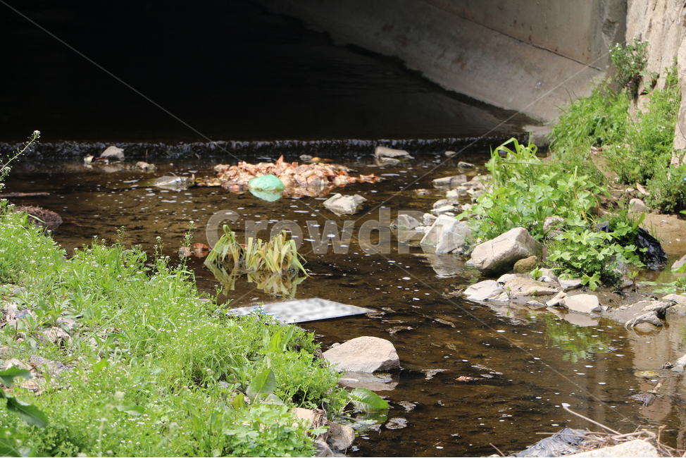 환경오염,오염,오염물,쓰레기,오염된강,역겨움,불쾌함,수질오염,강오염,더러움