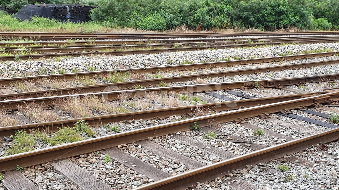 railroad,train rail,train track,traintrack,train