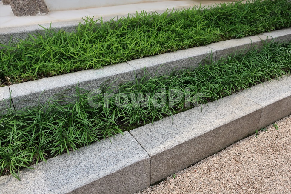 화단,식물,구획,정리,정돈,녹색,조경,식물,자연,plants,nature