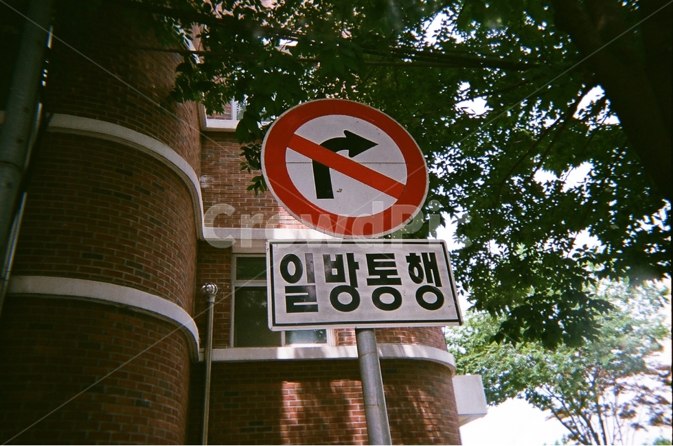 표지판,나무,필름사진,벽돌,건물,야외,교통,교통수단,traffic,transportation