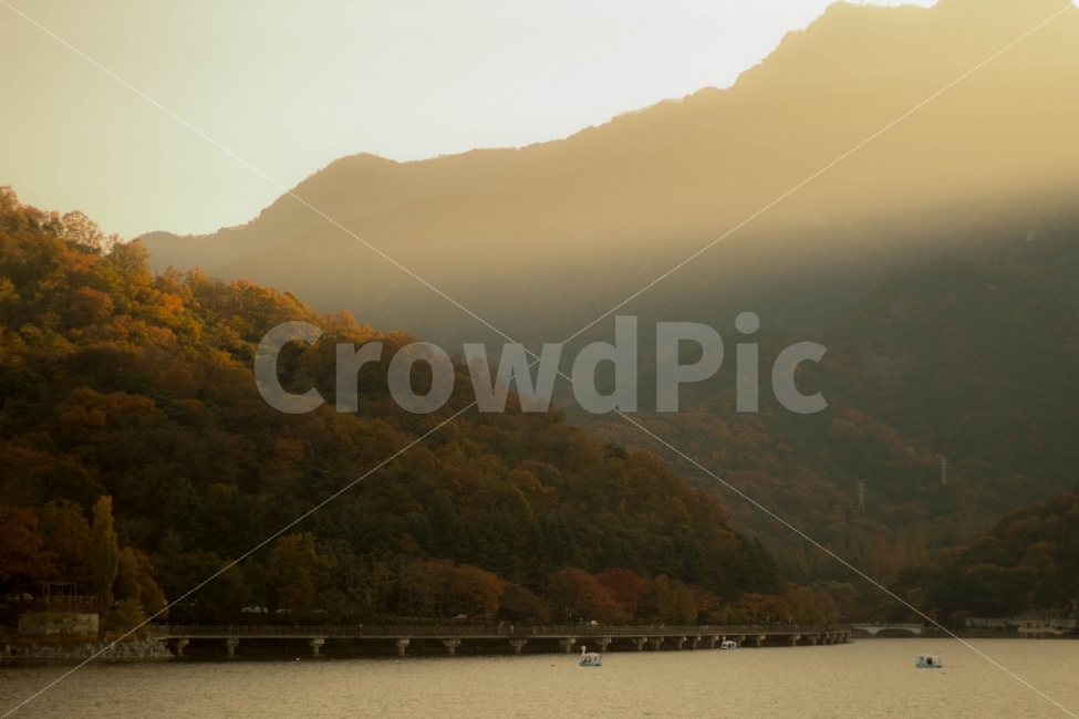 단풍,빛내림,가을,몽환,흐름,가을,계절,fall,autumn,season,자연,풍경,nature,landscape,한국자연풍경,한국자연경관,korea nature landscape,outdoors,옥외