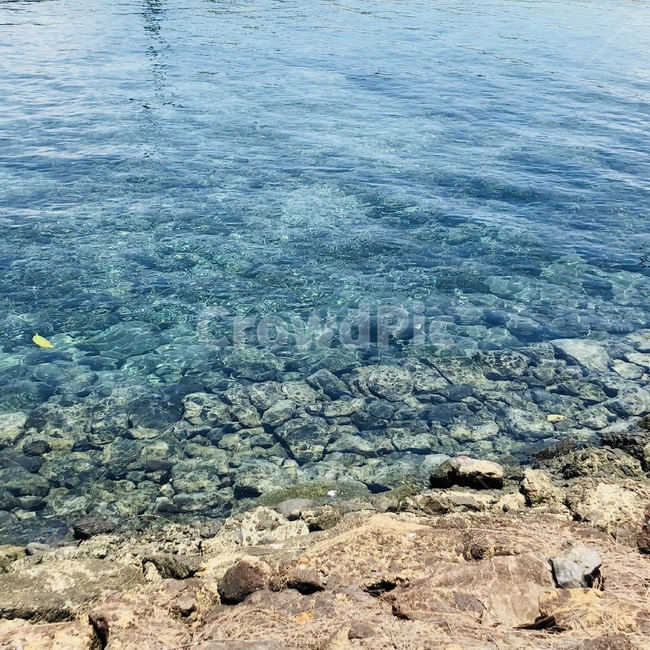 sea,water,자연,바다,물