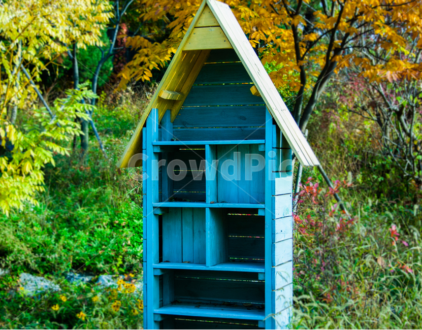 가구,숲,파란색,초록색,상자