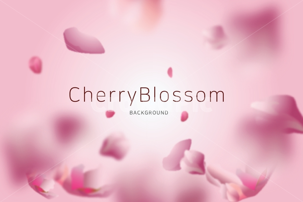 쇼핑,뒷배경,장식,봄,봄맞이,벗꽃,꽃,분홍,cherryblossom,템플릿,벚꽃,개화,시즌,식물,핑크,계절,봄꽃,flower,사랑,love,spring,잎,로맨틱,낭만,분위기,기획전,할인,쇼핑몰,세일,행사,대배너,그래픽,일러스트레이션,graphic,illustration