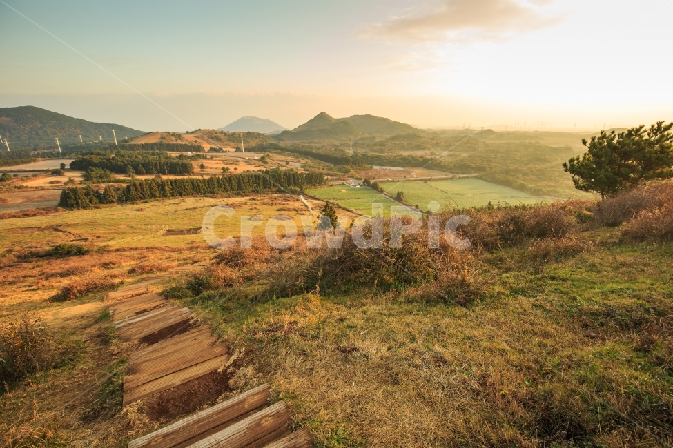 제주일출,일출sunrise,백약이오름,역광,몽환,감성,화사함,따뜻함,포근함,목장,소,백약이,젖소,농장,제주오름,제주,제주하늘,능선,철탑,분화구,성산일출봉,우도,아침햇살,canon,잔디,곶자왈,바닥,흙,자연,제주갈대,제주억새,제주일몰,일몰,하늘,여행,제주여행,제주인기,황금빛,새별,오름,새별오름,가을,제주가을,봄,여름,겨울,바다,일출,햇볕,햇살,풍경사진,풍경,작품,갈대,억새,광각,캐논,멋진사진,예쁜풍경,구름,시골,논,밭,계단,초원,자연,풍경,nature,landscape,한국자연풍경,한국자연경관,korea nature landscape,제주도,jeju,jeju island,building,건물,outdoors,옥외