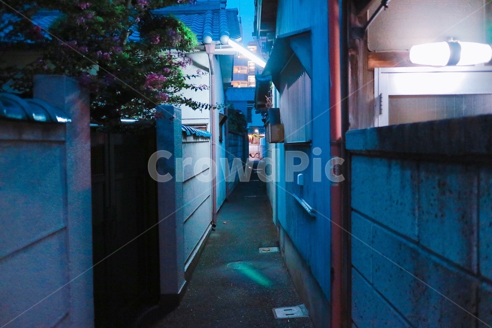 골목,일본,일본길거리,감성,난바,우메다,일본골목,형광등,불빛,야경,골목길,alley,street,거리,building,건물,town,도시,road,도로,city,시티,urban,어반