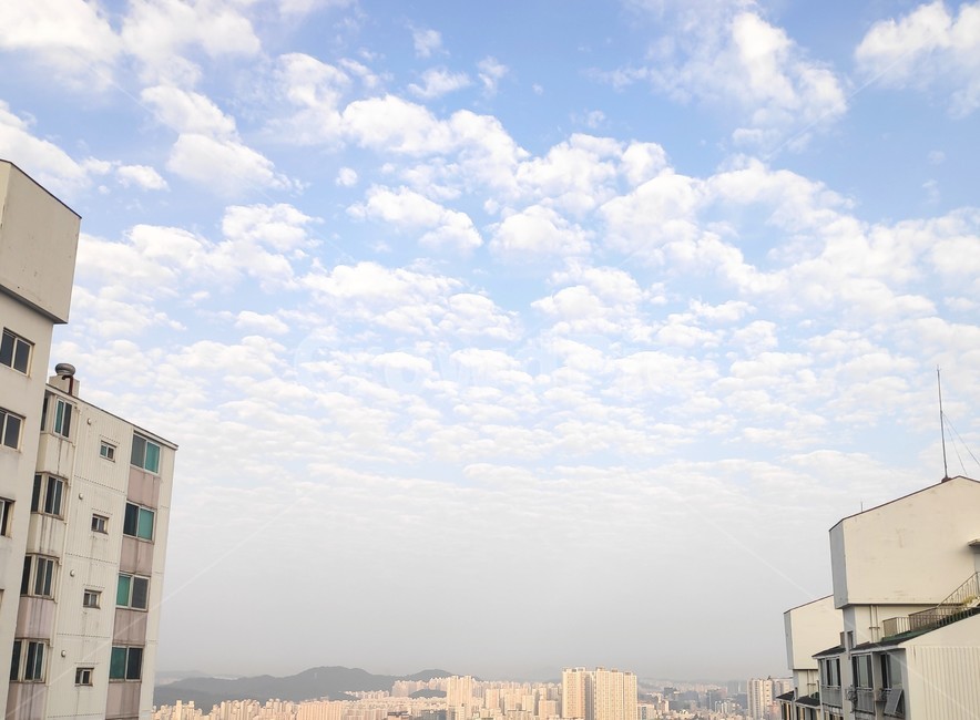 하늘,sky,고층건물,nature,urban