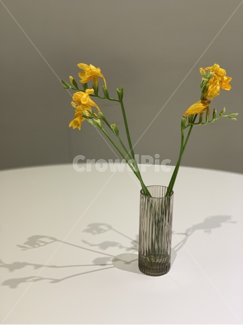 꽃,인테리어,소품,병,카페,꽃,flower,인테리어,실내디자인,interior design