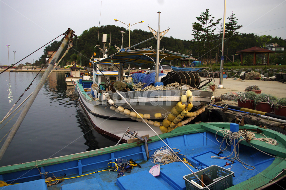 어선,배,바다,정박,항구,산업,industry,industrial,어업,fishery,fishing industry