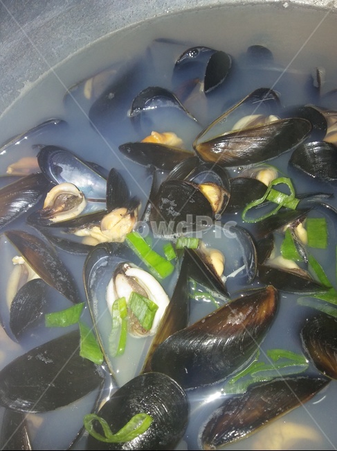 홍합,파,국물,홍합탕,반찬,음식,식재료,요리,food,cook,meal,dishes,food reserves,수산물,해산물,fishery products,seafood