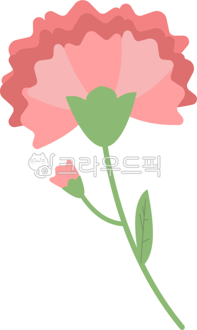 카네이션,꽃한송이,빨간색꽃,스승의날,꽃선물,어버이날