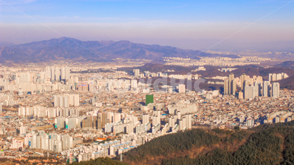 대구,경치,자연,도시,산,풍경