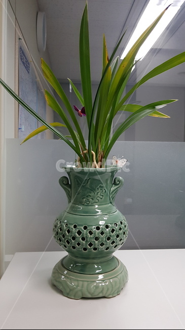 난,동양,동양화,식물,화분