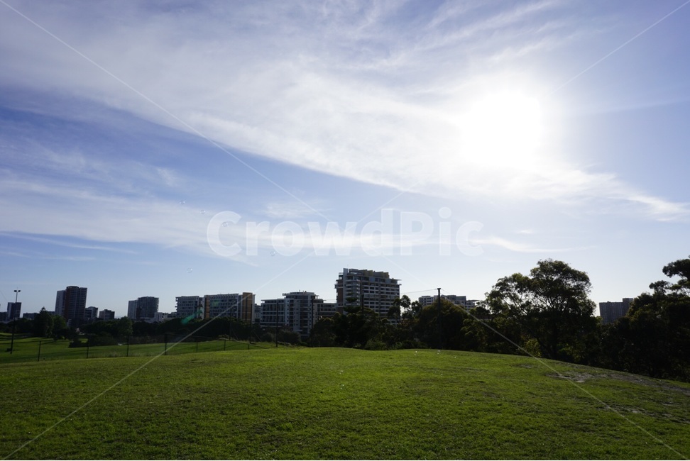 원본,자연,나무,들판,구름,original,nature,tree,field,cloud,자연,풍경,nature,landscape,plant,식물,grass,잔디,lawn