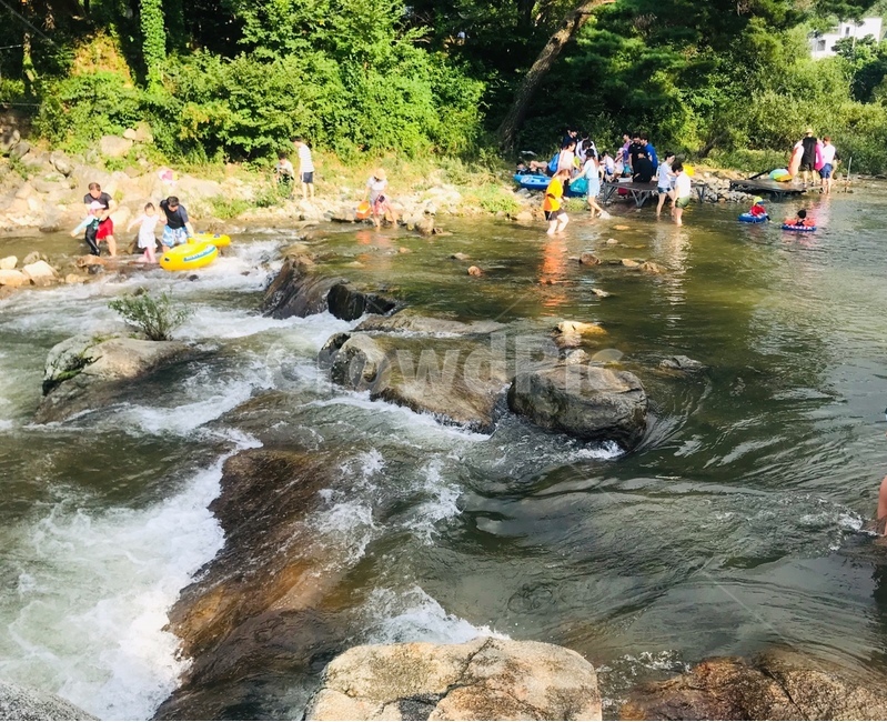 물,계곡,자연,물놀이,여름,여름,계절,summer,season,여행,휴가,traveling,vacation,trip,water