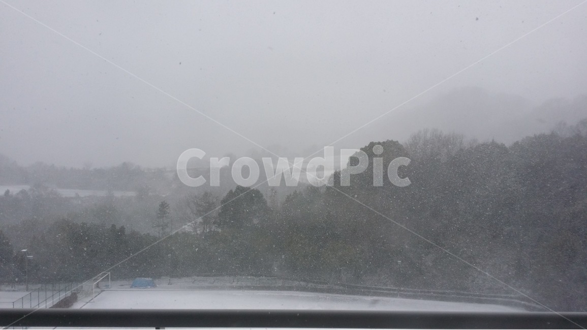 일본,눈,자연,풍경,나무,운동장,japan,snow,nature,scenery,tree,nippon,yuki,huukei,ki,겨울,계절,winter,season,자연,풍경,nature,landscape,outdoors,옥외