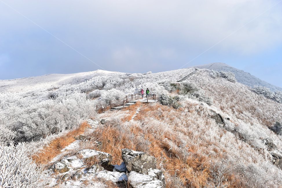 소백산,눈꽃풍경,상고대,겨울풍경,국립공원,겨울동화,힐링,감성,아름다움,뷰티풀,설국,눈풍경,파란하늘,100대명산,겨울명산,설경,서리꽃,snow,landscape,눈,화이트,자연,신비로운,경이로운,천상,비경,치유,산,명산,자연풍경,늦가을,영주,단양,풍기,희방사,삼가리,비로봉,연화봉,겨울,계절,winter,season,자연,풍경,nature,landscape,한국자연풍경,한국자연경관,korea nature landscape,outdoors,옥외,slope,경사,mountain,person,사람,human,인간,mountain range,산맥