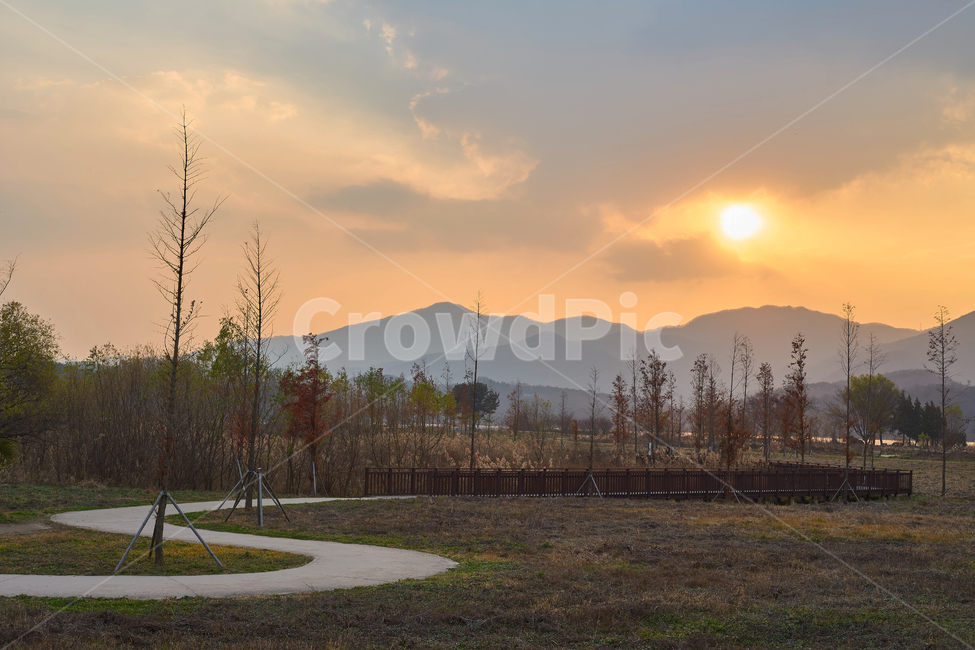 두물머리,공원,노을,양평,가을,산책,자연,풍경,nature,landscape,나무,산,산책로,하늘,구름,배경,배경화면,background,자연,풍경,nature,landscape,한국자연풍경,한국자연경관,korea nature landscape,abies,아비,plant,식물,tree,fir,전나무