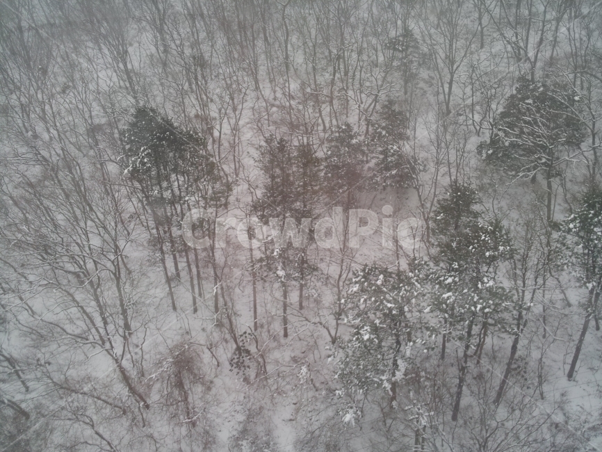 눈,산,나무,설원,겨울,Snow,Mountain,Tree,Winter,White,흰색,겨울,계절,winter,season,자연,풍경,nature,landscape,storm,폭풍,snow,blizzard,눈보라,outdoors,옥외