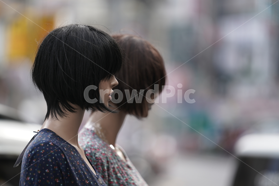 가발,마네킹,모형,디스플레이,옷