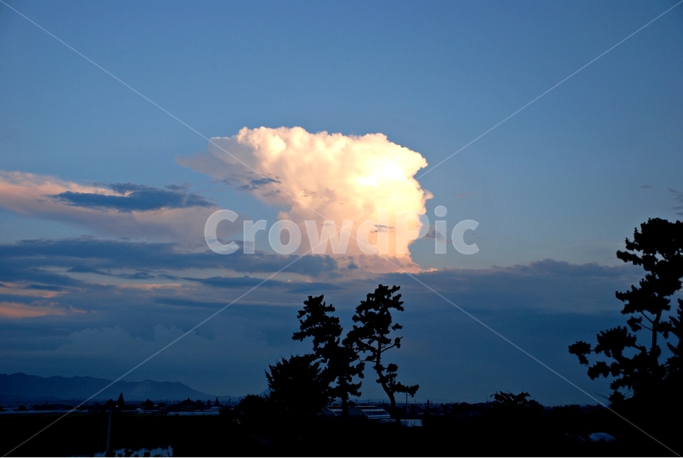 자연,하늘,구름,나무,역광,저녁,자연,풍경,nature,landscape,weather,날씨,outdoors,옥외,cloud,cumulus,적운,sky