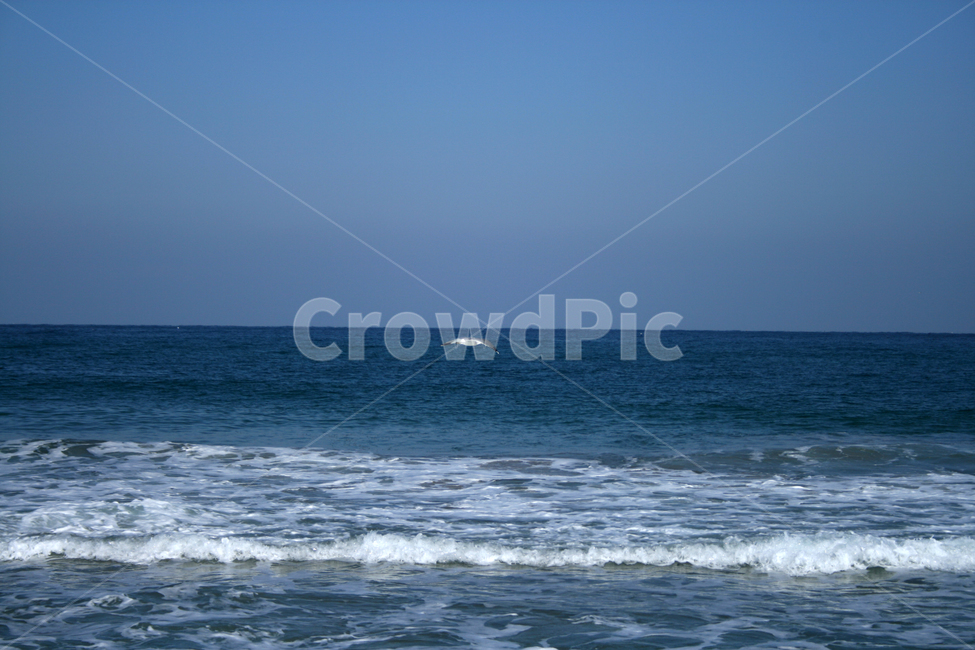 파도,바다,해변,풍경,하늘,자연,풍경,nature,landscape,sea,outdoors,옥외,ocean,대양,water,물,leisure activities,레저 활동,adventure,모험