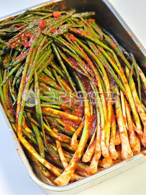 한국김치,파김치,김치,음식,채소,제철채소,식재료,식품,음식재료,파,쪽파,대파,파뿌리,food