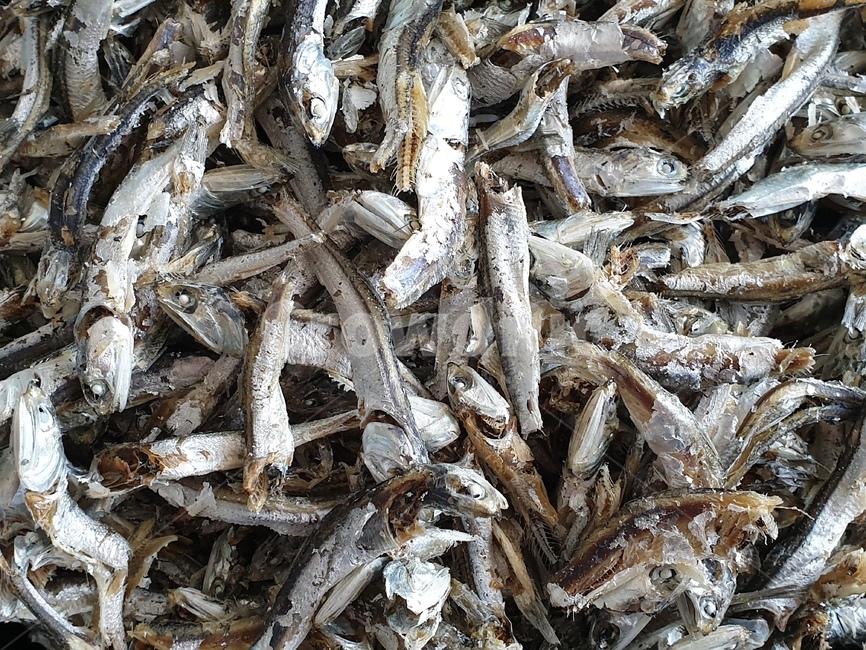 물고기,fish,멸치,국물멸치,조미료