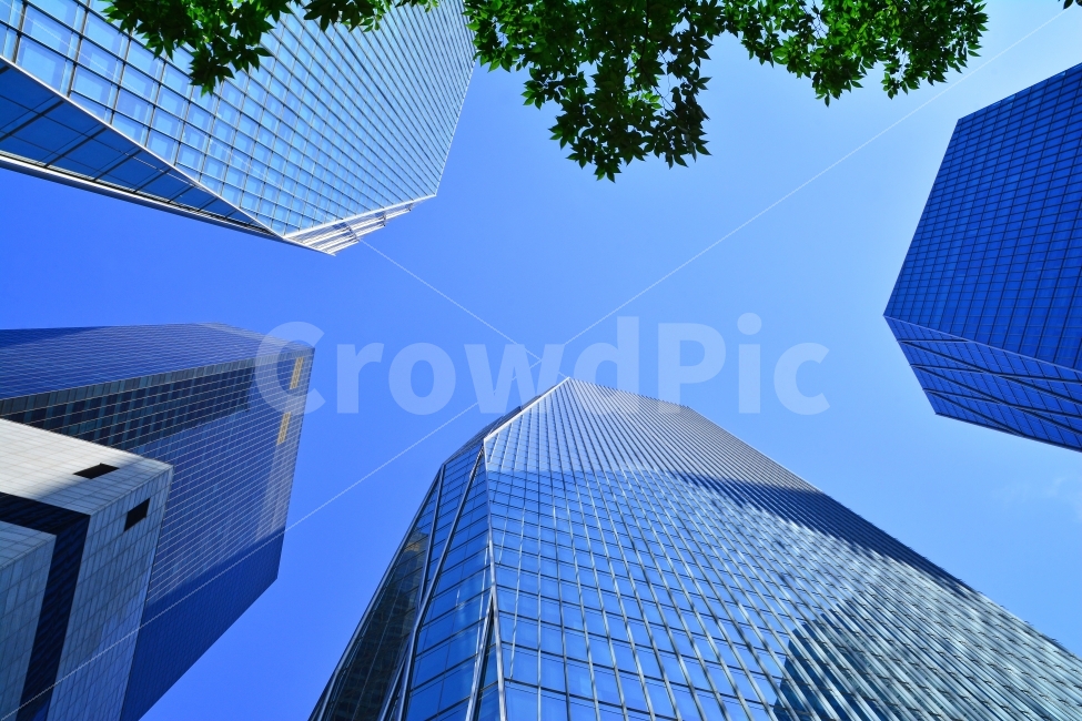 빌딩,비즈니스,중심가,금융가,증권가,첨단,초고층,사업,대기업,회사,부동산,임대,매매,오피스텔,오피스가,비지니스,샐러리맨,임직원,인텔리전트,시안,디자인,사보,카다로그,홈페이지,기업,스카이라인,콘텐츠,마케팅,편집,출판,배경,바탕,백그라운드,background,하늘,블루톤,파랑,유리창,반사,건축,건축미,홍보용,인쇄용,뉴스레터,자료,리스,오너,ceo,sns,building,skyline,모바일,배너,웹,현대적,사장,회장,그룹,증권,서울,seoul,grass,사무실,브로셔,서적,책자,단행본,건물,업무용,고층빌딩,concept,컨셉트,컨셉,콘셉,상징,현대식,도시,풍경,city,landscape,건축물,건물외관,exterior,building,structure,architecture,construction,비즈니스,사업,business,service,work,금융,돈,finance,banking,money,office building,사무실 건물