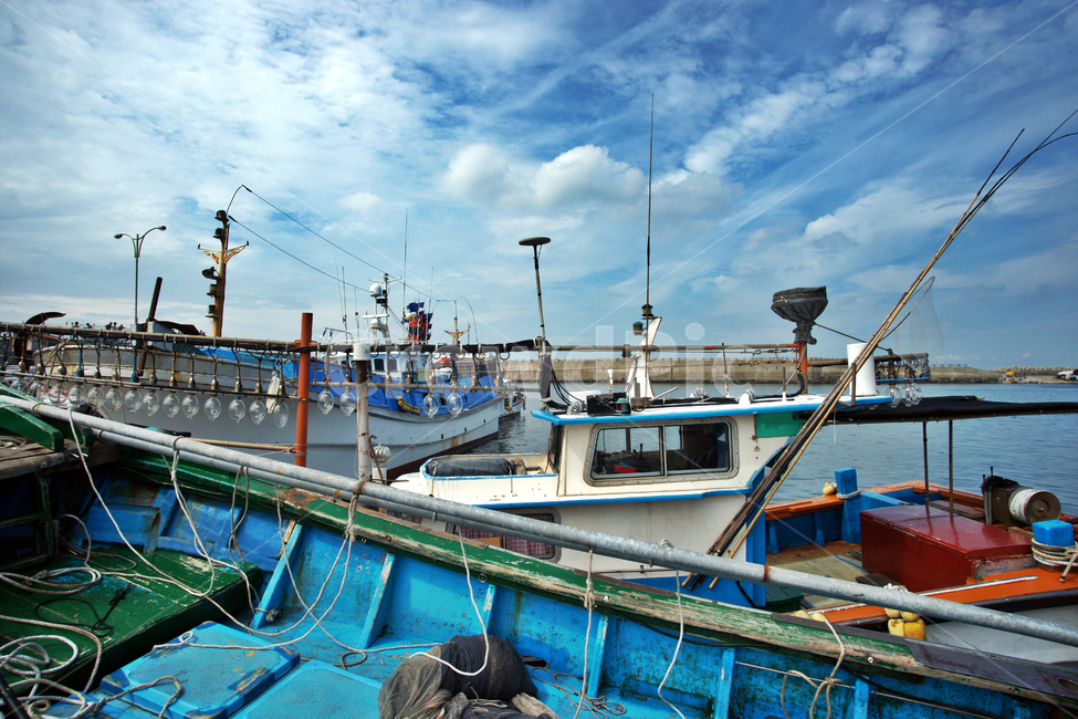 어선,고깃배,등대,모슬포항,제주,서귀포시,바다,방파제,산업,industry,industrial,어업,fishery,fishing industry,교통,교통수단,traffic,transportation