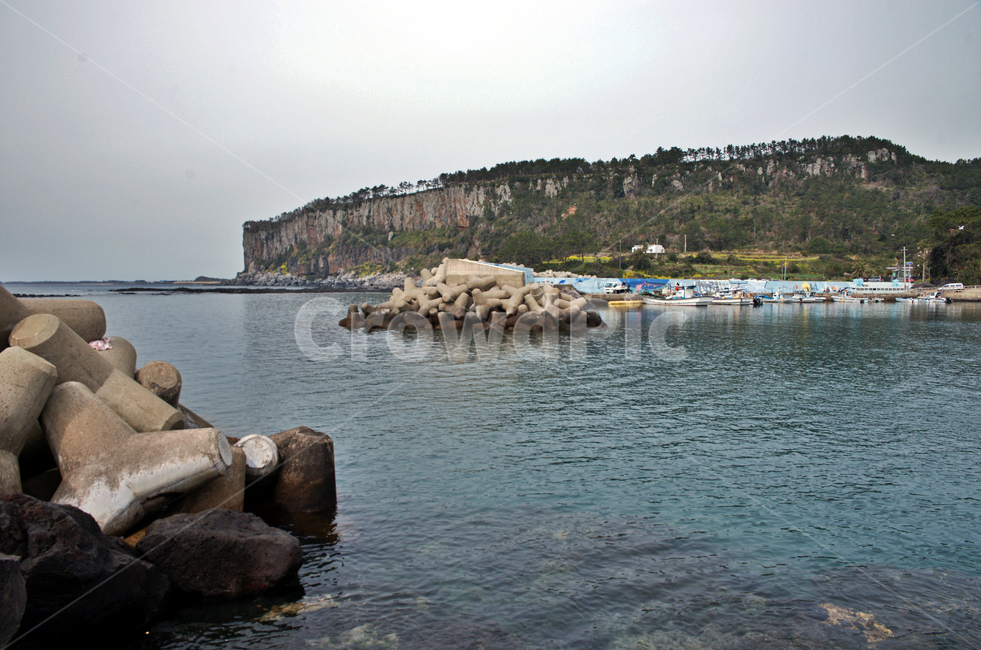 박수기정,제주도,서귀포시,대평포구,등대,방파제,테트라포드,바다,제주도,jeju,jeju island