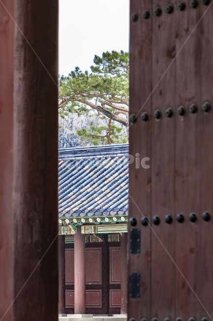 고궁,창덕궁,대문,전통대문,문화유산,기와지붕,전통건축물,전통기와,문화재,한국전통,한국문화,korean traditional,korean culture,건축물,건물외관,exterior,building,structure,architecture,construction