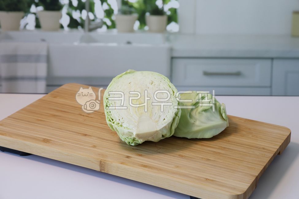 cabbage cross section,cabbage,cut cabbage,vegetable,food,cabbage slices,ingredients,fresh food,fresh