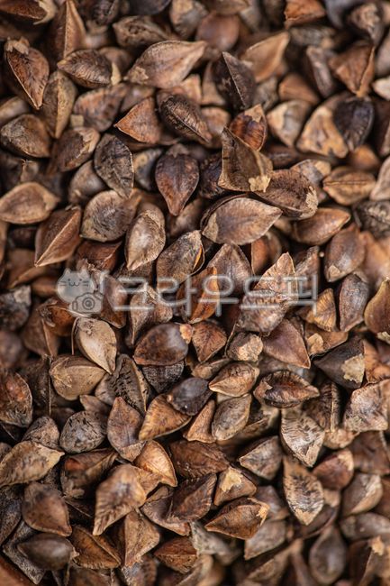 음식연출,음식이미지,식재료,그릇,식당포스터,푸드스타일링,한국적,메뉴촬영,메밀씨앗,메밀