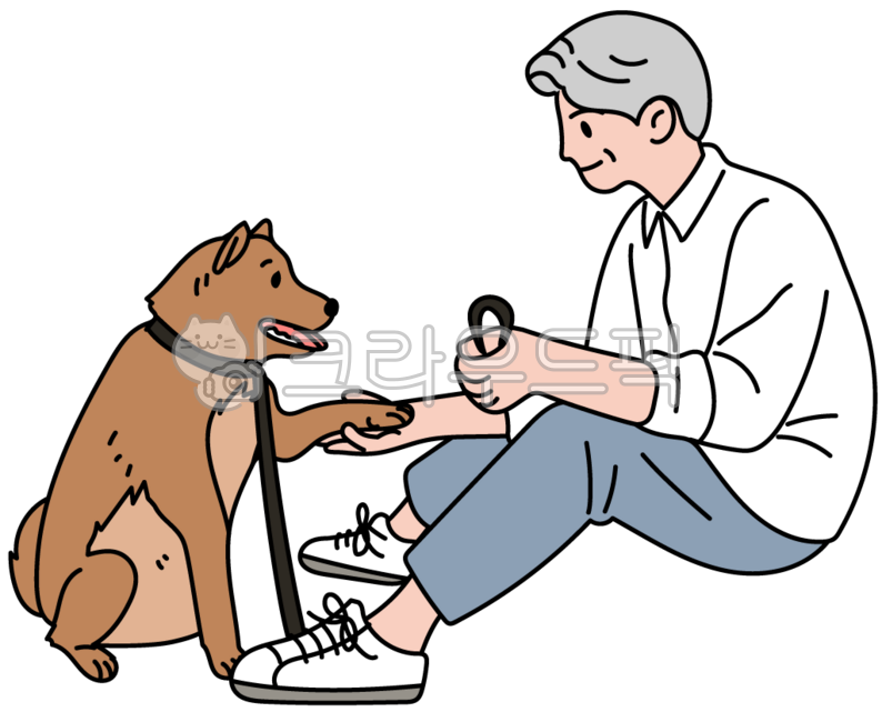 노인,반려견,산책,강아지,훈련